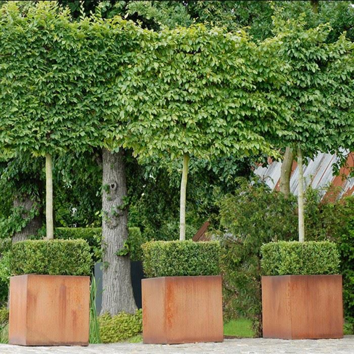 Patio Flower Boxes